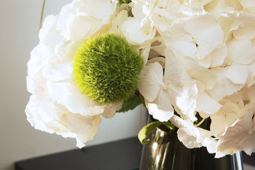 Hotel Local 101 Beaurepaire - Opening Summer 2026